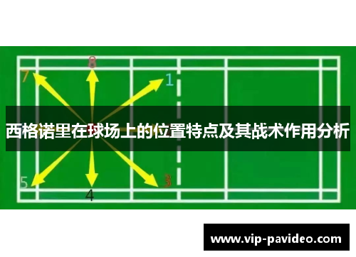 西格诺里在球场上的位置特点及其战术作用分析