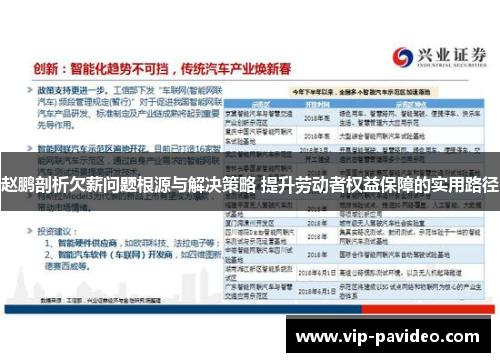 赵鹏剖析欠薪问题根源与解决策略 提升劳动者权益保障的实用路径