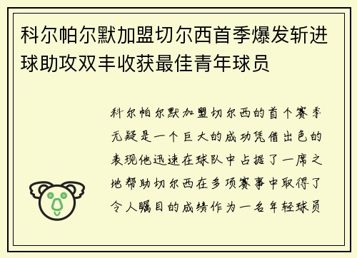 科尔帕尔默加盟切尔西首季爆发斩进球助攻双丰收获最佳青年球员